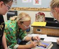 Research by Ben Alcott tops BBC Education Faculty of Education News